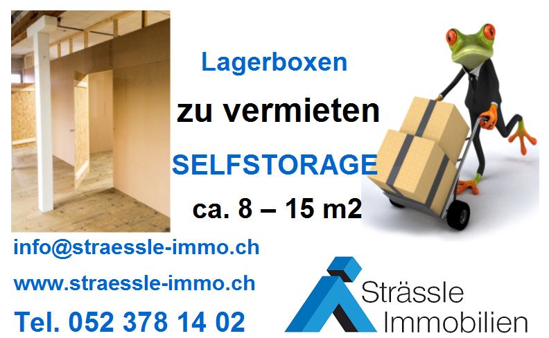 Lagerboxen, Selfstorage, Strässle Immobilien